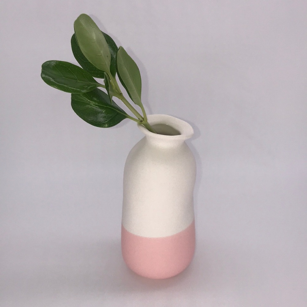 🌿Vase